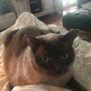 Meet your Posher, Melanie